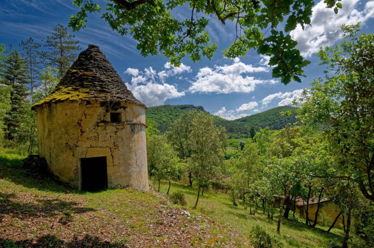 La Tour De Cause Bed & Breakfast Кастелно Ла Шапел Екстериор снимка