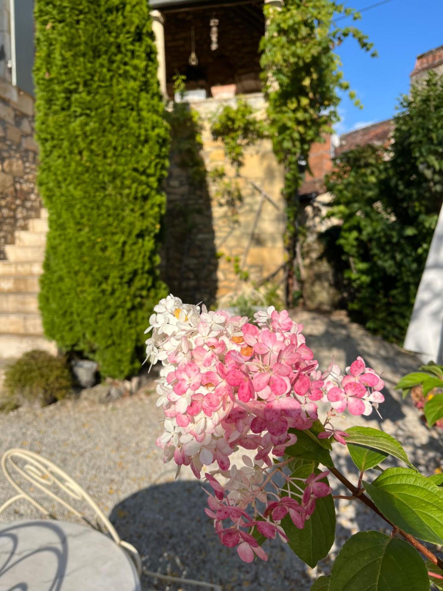 La Tour De Cause Bed & Breakfast Кастелно Ла Шапел Екстериор снимка