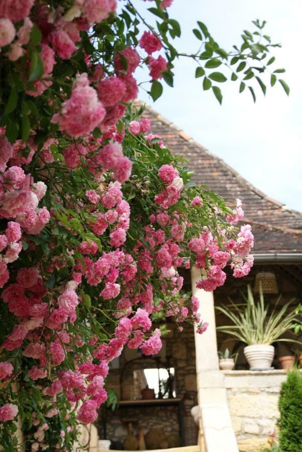 La Tour De Cause Bed & Breakfast Кастелно Ла Шапел Екстериор снимка